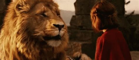 for narnia gif|More.